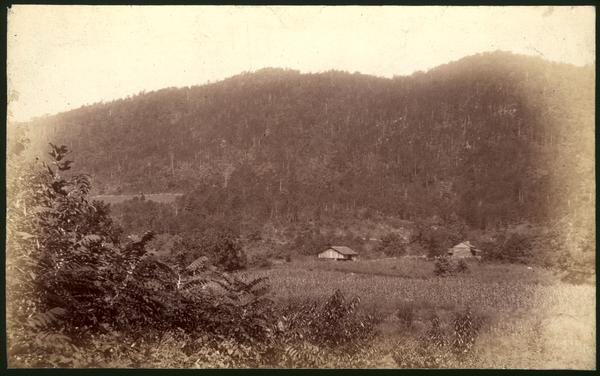 Mt. Nebo - Chilhowee R. - from Miller's Cove