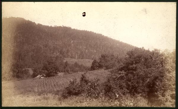 Pine Mt. - Chilhowee R. - from Miller's Cove