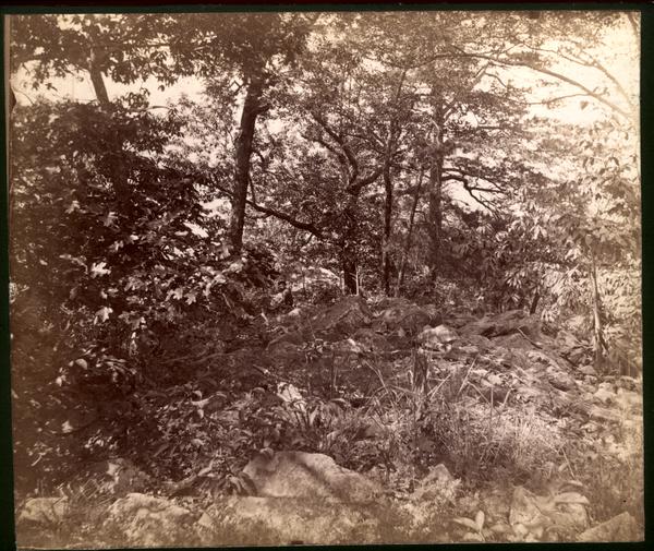 Summit of Pine Mt. Chilhowee Range Blount Co. Tenn.