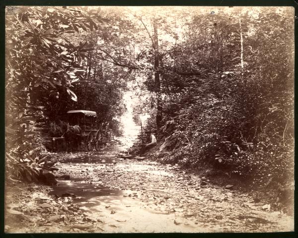 Laurel Creek Road Blount Co. Tenn.