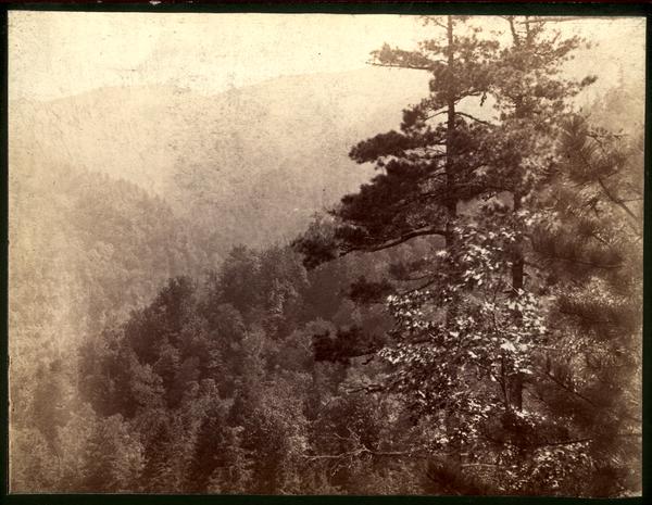 Great Smoky Mts. From E. slope of Defeat Mt.