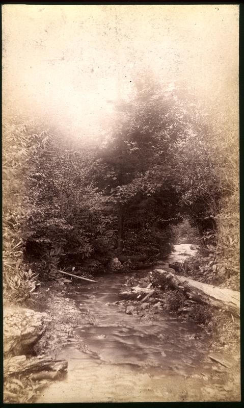 Laurel Creek road near A.J. Dorsey's