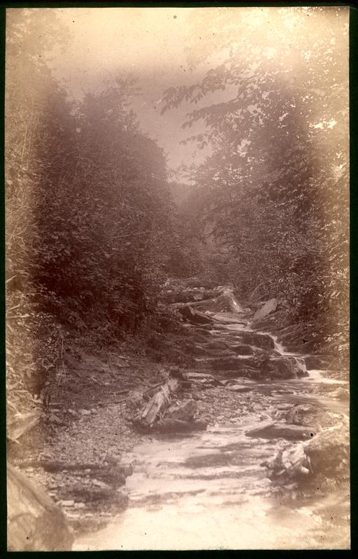 Bridle path to Robt. Spence's (cascades)