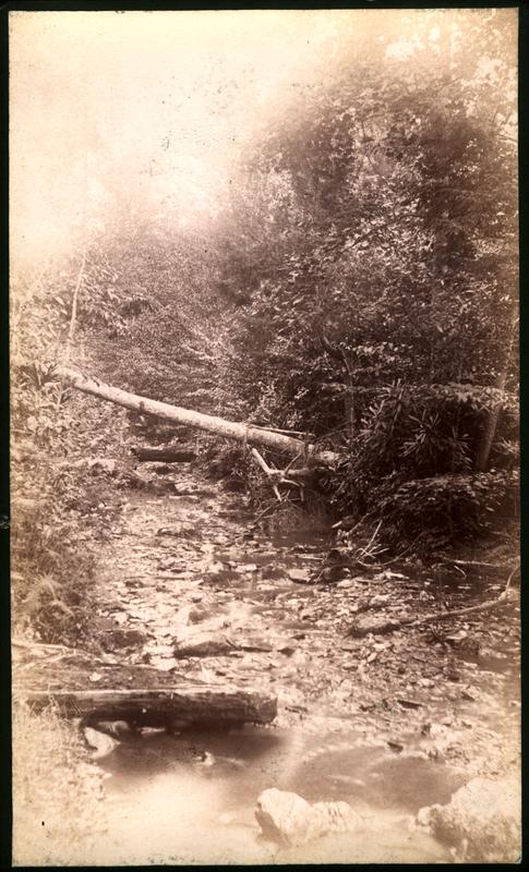 Bridle path to Robt. Spence's (looking down)