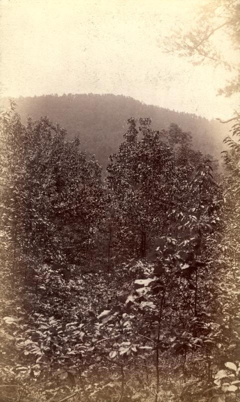 Mt. Nebo - Chilhowee R. from ridge near Melrose