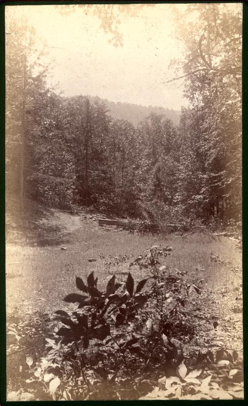 Mt. Nebo. Chilhowee R. from Melrose Spring
