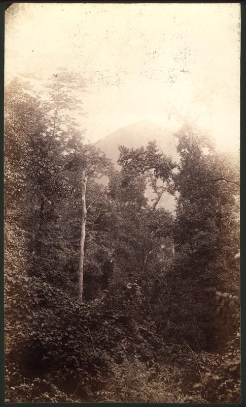 Little, or Fox Mt. from road over Scott Mt.