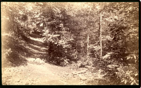 Path from Melrose Spring - to Hotel. Blount Co. Tenn