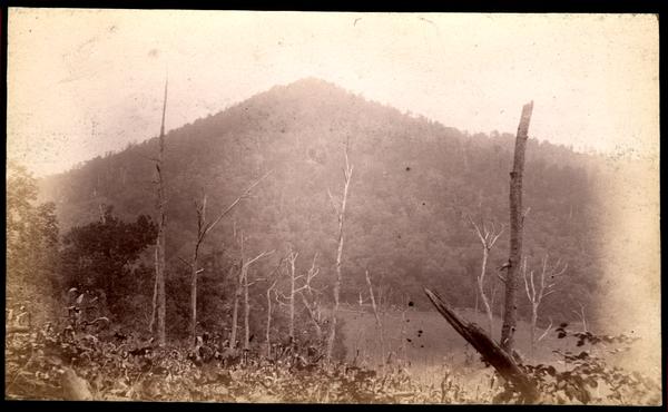 Little, or Fox Mt. from mud road at foot of Scott Mt.