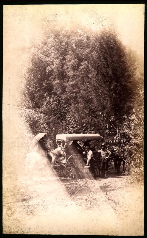 Cliff on Little River below Tuckaleechee Cove