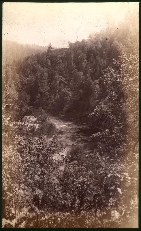View from high road in pass bet. Miller's Cove and Tuckaleechee