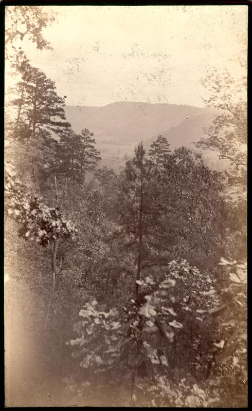 Looking toward Dammit from Pine Mt. Trail