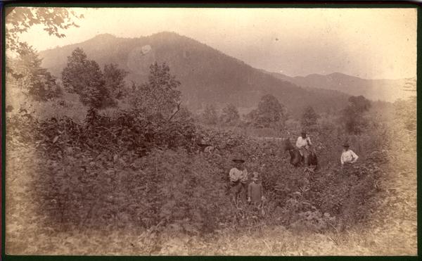 Saddle Mt. -Chilhowee R. - from Sam Walker's backyard