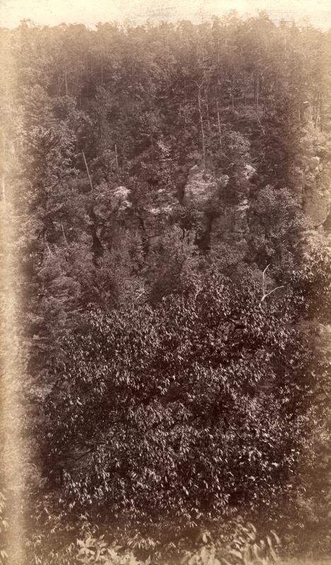 "Tower Rocks" on Flat Branch Little River from opp. Slope of ravine