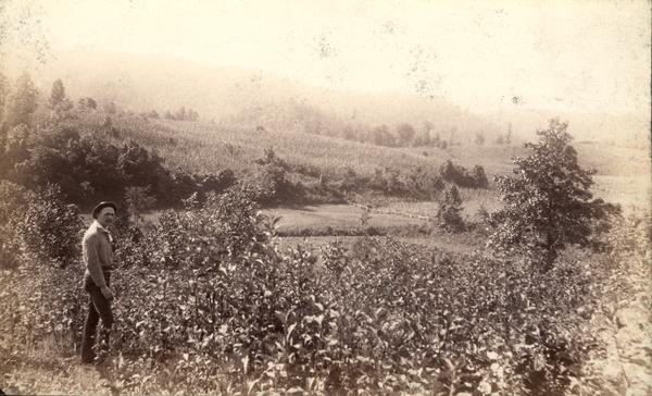 Miller's Cove (looking S.E. from Hatcher's) Dr. C.S. Evans in foreground