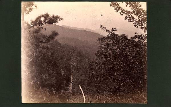Chilhowee Range (looking North) from Tower Rocks