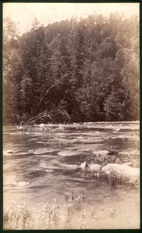 Down Little River below Tuckaleechee Cove