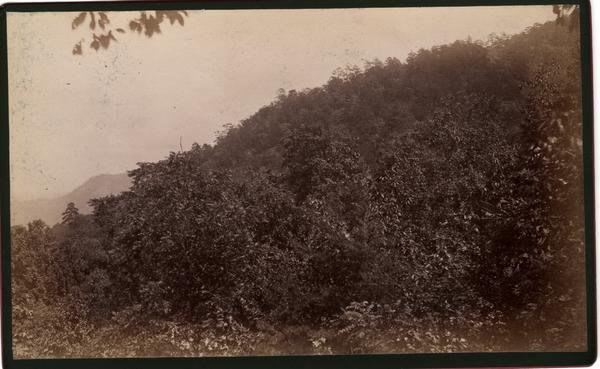 Slope of Pine Mt. from Sunset Hill. Mt. Nebo