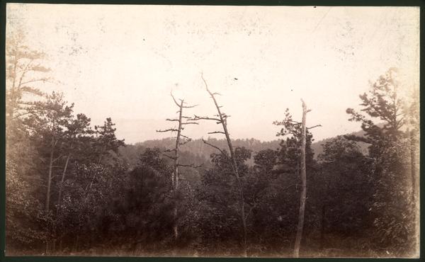 Great Smoky Mts. From road over Scott Mt.