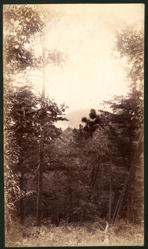 View from road over Scott Mt. (Great Smoky Mts. in distance lost by over exposure)