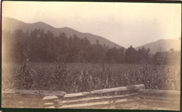 Little River Gap from road near Vance Walker's house, Miller's Cove