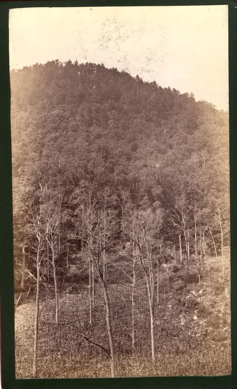 Mountain clearing in pocket on road from Tuckaleechee to Cade's Cove