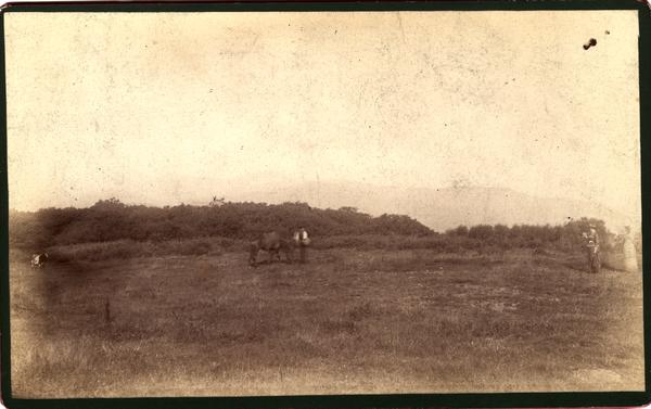 Thunderhead and Blockhouse from summit of Big Bald