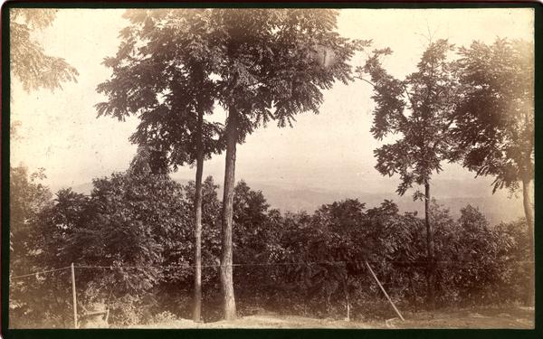 Little River Valley from verandah of Mt. Nebo House